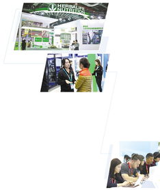 在進博會上全面展示新技術(shù)新產(chǎn)品 跨國企業(yè)鉚足勁拓展中國市場 會議及展覽服務(wù)